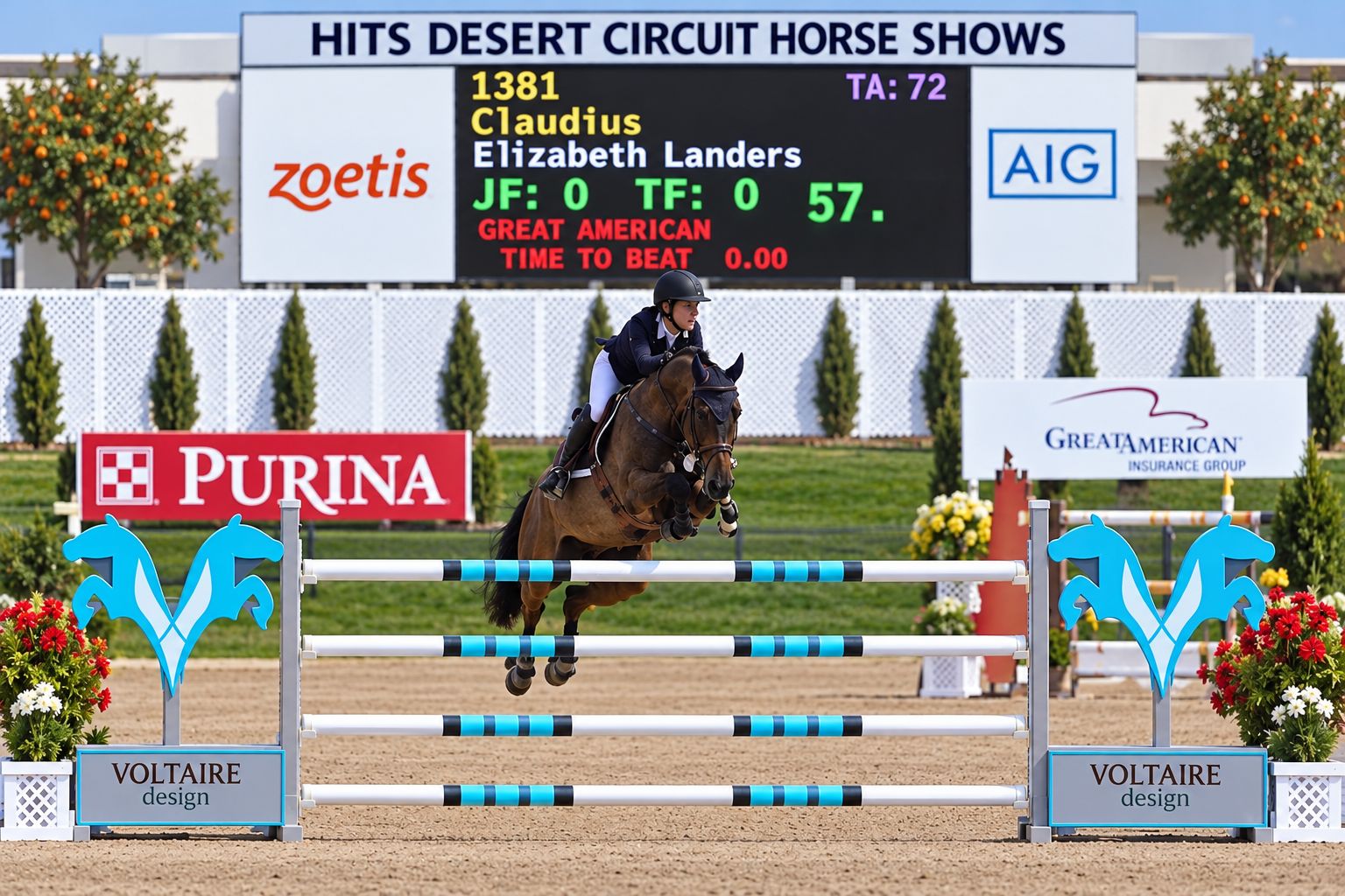 Elizabeth Landers and Claudius showjumping