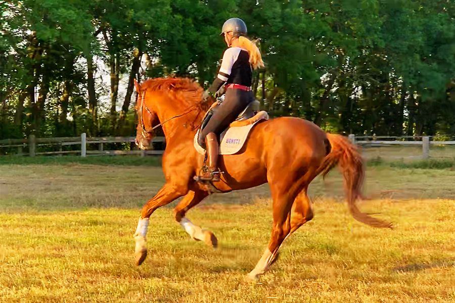 Schooling in the field, Sweden