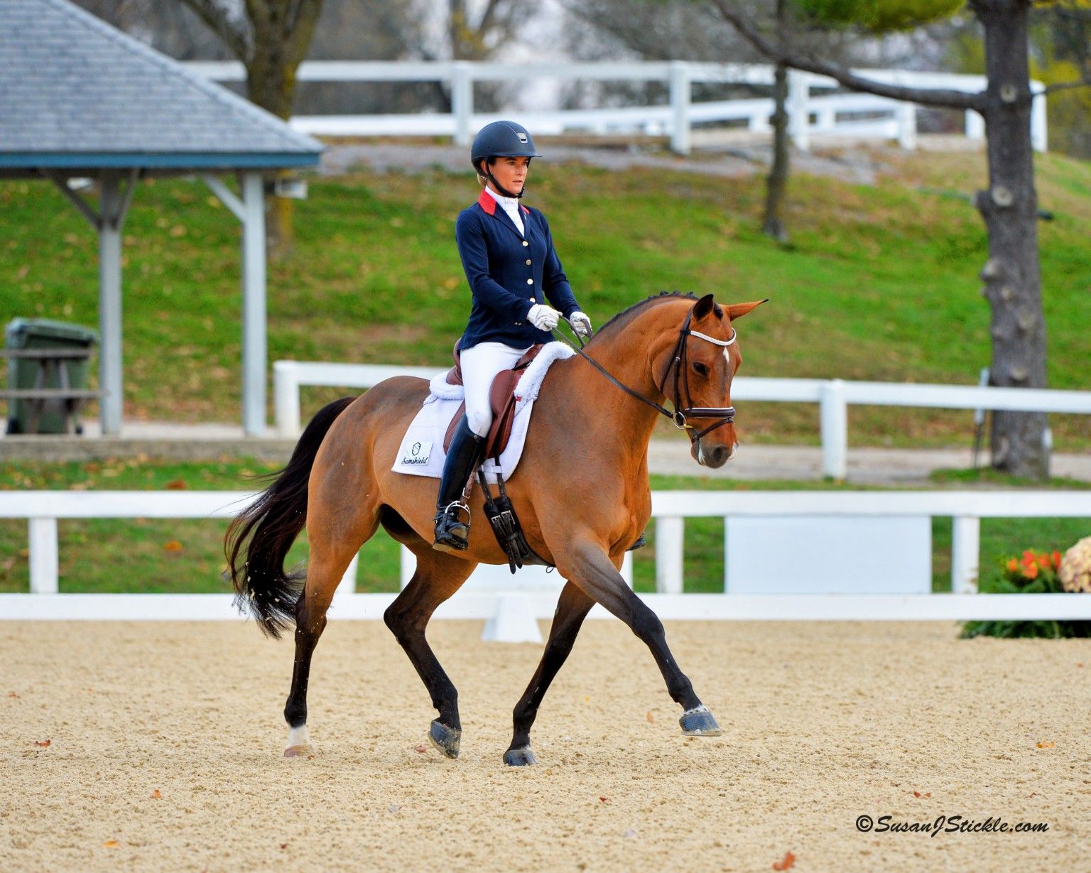 Dressage schooling